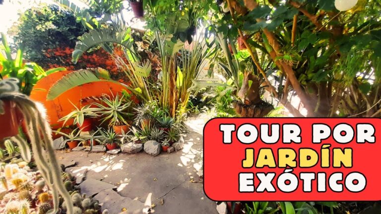 Jard&iacute;n Tropical: Un Para&iacute;so Verde en Casa