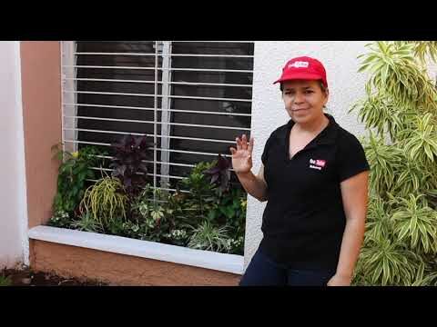 Plantas de Terraza Ideales para Espacios Reducidos