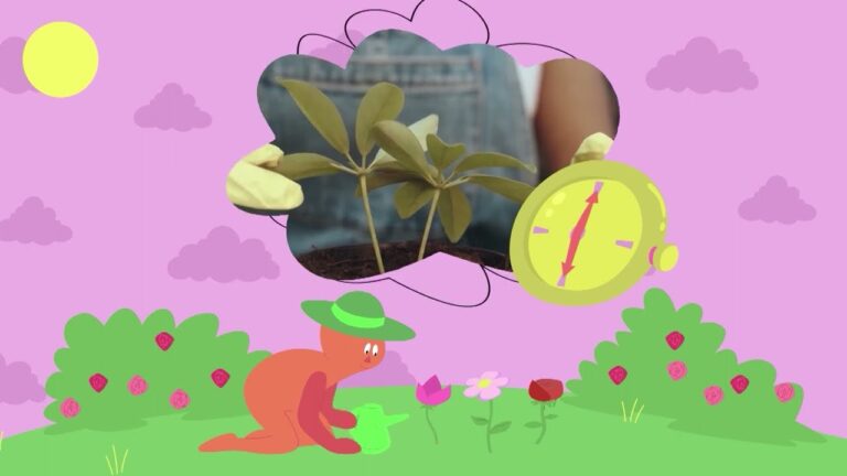 Beneficios de los Jardines Comunitarios