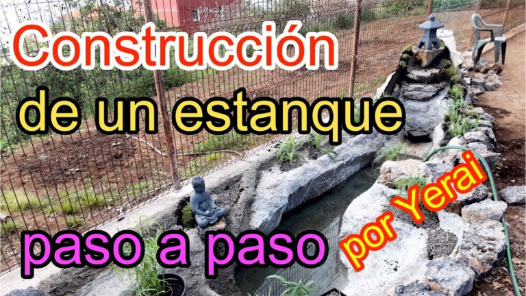 Guía para la Construcción de Estanques de Hormigón en Jardines