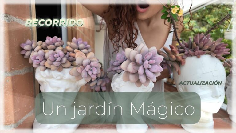 Plantas y flores: la magia natural de tu jardín