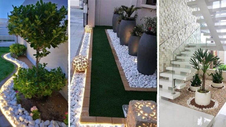 Estilos Únicos para Transformar tu Jardín de Rocas
