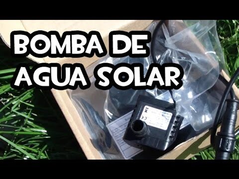 Estanques Decorativos: Claves para un Sistema de Bombeo Eficiente