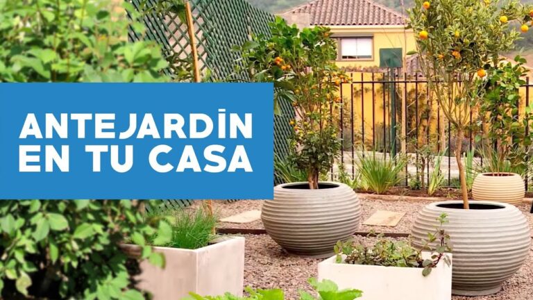 Diseño Efectivo de Jardines de Hierbas Culinarias