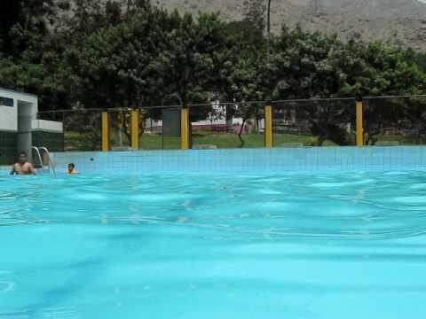 Disfrute Total en Piscinas con Bar: La Experiencia Perfecta
