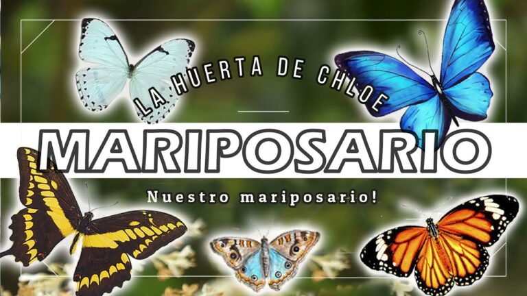 Creando un Jard&iacute;n de Mariposas en el Entorno Escolar