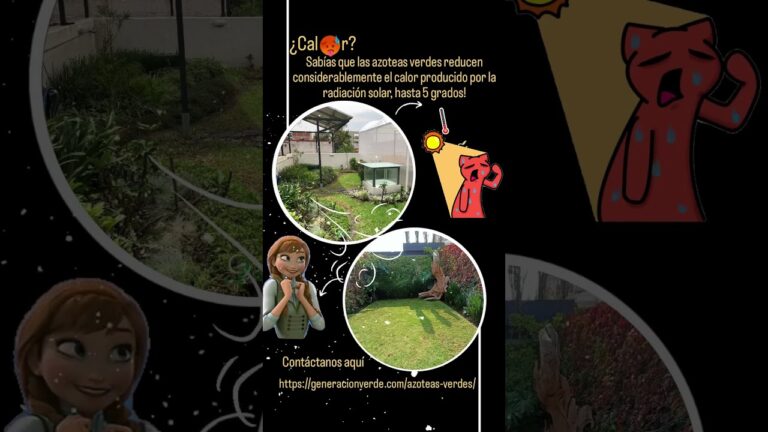 Gu&iacute;a Pr&aacute;ctica para el Mantenimiento de un Jard&iacute;n en la Azotea
