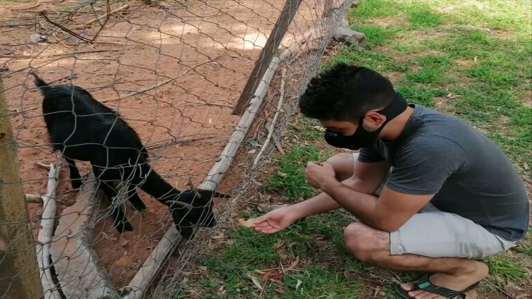 Ecosistemas Diversos en Jardines Botánicos