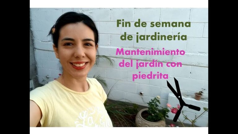 Guía Práctica para el Mantenimiento de un Jardín de Balcón