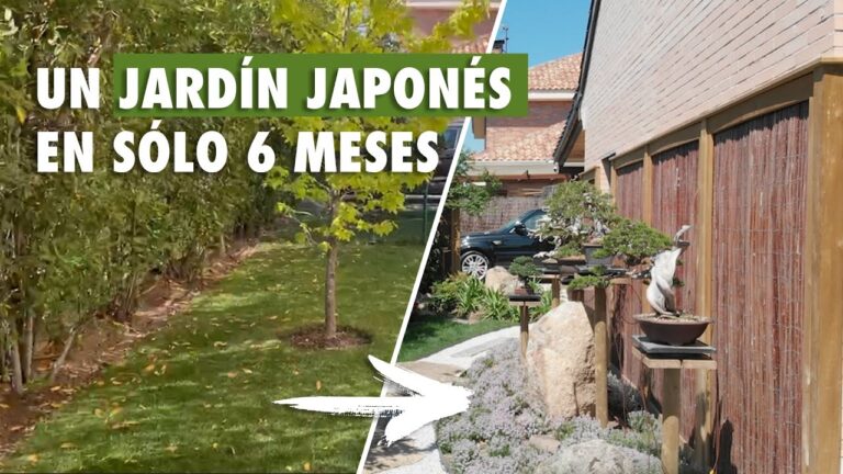 Transformación de Terrazas con Jardines Japoneses