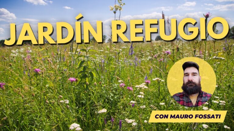 Jardín de Mariposas: Refugio de Biodiversidad