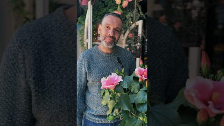Beneficios de las Plantas y Flores en la Terraza