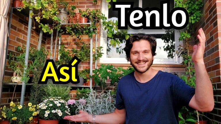 Transforma tu ciudad: Decoraci&oacute;n urbana con plantas y flores