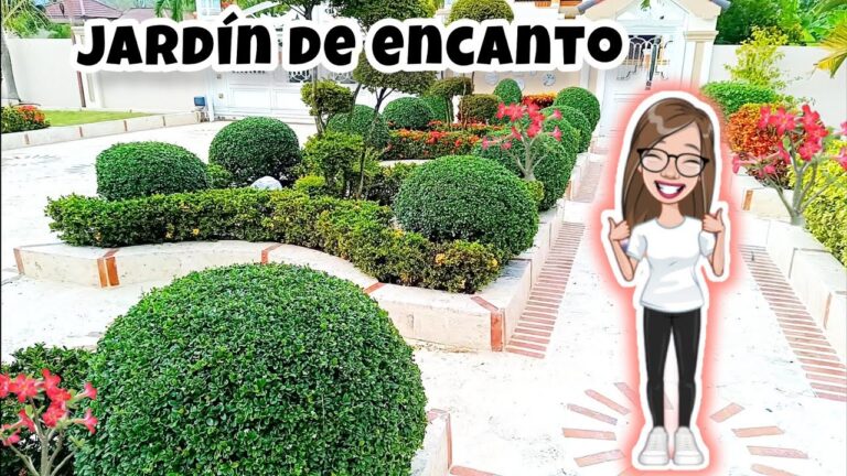 El Encanto de las Plantas y Flores de Verano