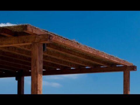 Pérgolas: Elegancia Decorativa en Entradas