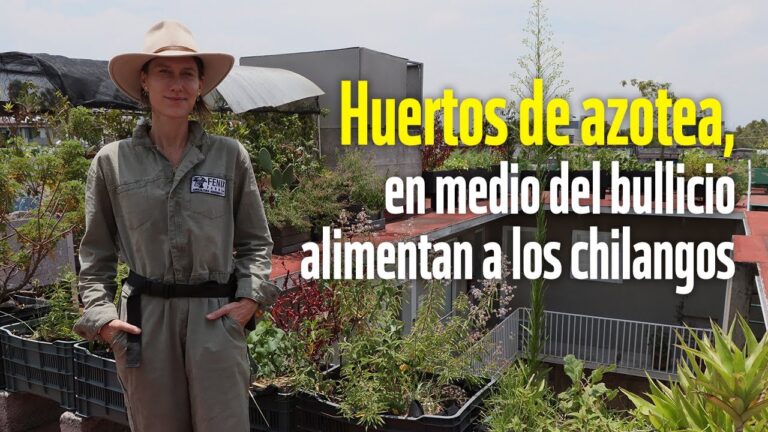 Transforma tu Azotea en un Jard&iacute;n Comestible
