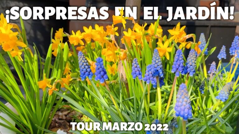 Jardines de la Primavera: Una Explosión de Color