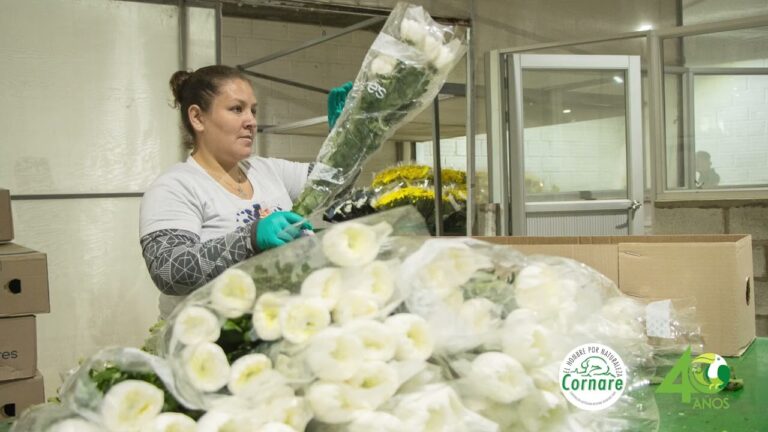 Cultivo Sostenible en Jardines Silvestres: Prácticas y Beneficios