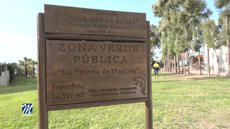 Transformación Sostenible: Creación de Espacios Verdes en la Iglesia