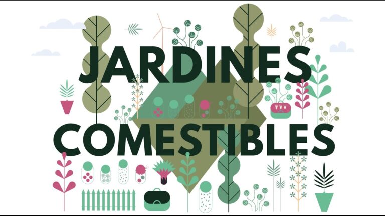 Creando un Jardín Comestible en el Colegio