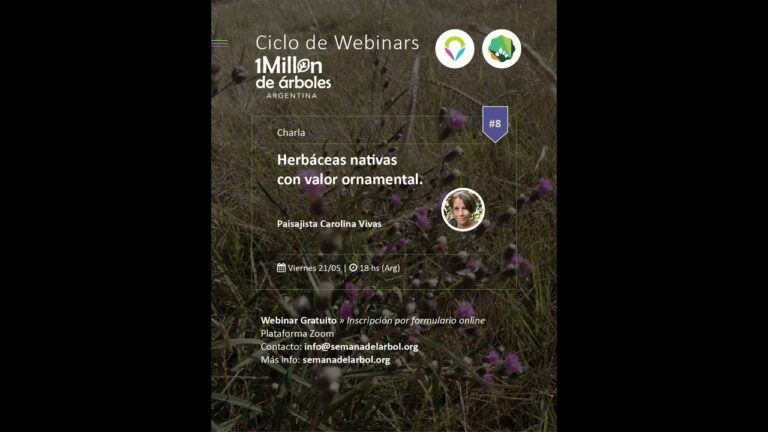Plantas Autóctonas para Jardines en la Selva