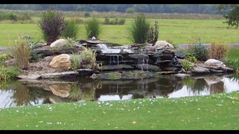 Estilos de Estanques para Jardines: Guía de Diseño y Decoración