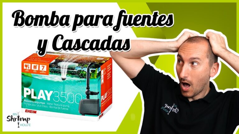 Funcionamiento Eficiente de Bombas de Agua en Estanques Decorativos