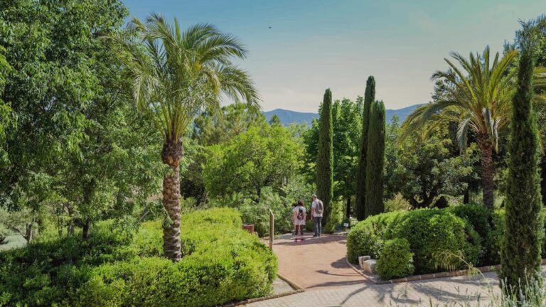 Descubriendo Jardines Mediterráneos en un Jardín Botánico