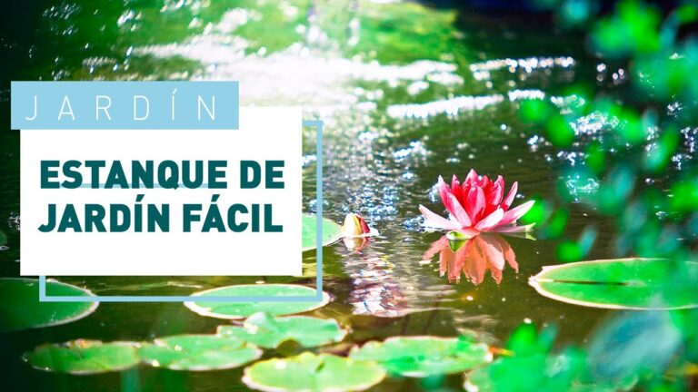 Ideas Creativas para Estanques Decorativos en el Jard&iacute;n