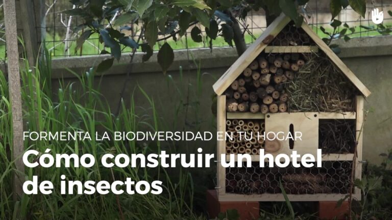 Elementos Clave para un Jard&iacute;n de Mariposas