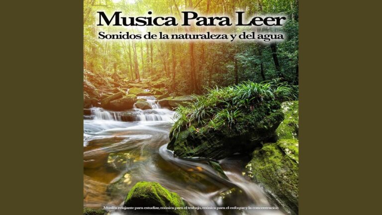 Jardinería Zen: La Conexión Perfecta con la Naturaleza